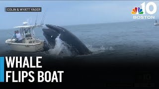 Whale slams into boat off coast of Portsmouth NH [upl. by Tabor]