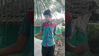 🙏👍50500 taka👍🙏Soumitra TV shortsSoumitrafunny video 🤣😂please like and subscribe to my channel [upl. by Guglielmo]