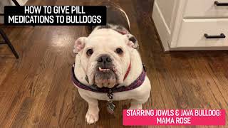 How to Give Pill Medications to Dogs Using Pill Pockets [upl. by Searby]