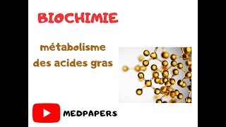 Biochimie Métabolisme des acides gras [upl. by Ahsats99]