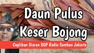 DAUN PULUS KESER BOJONG  Cuplikan Siaran Radio Kang Dedi Kangdedicosmo [upl. by Willy]