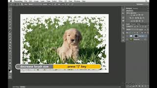 Photoshop Tutorial  How to create custom borders [upl. by Eudocia]