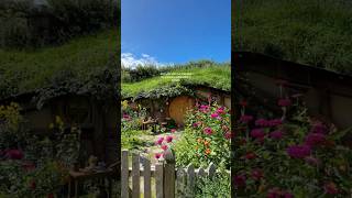 a real life fairytale🧚🏼‍♂️ foryou fypシ゚ shire shire hobbit travel travelvlog [upl. by Crowell]