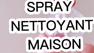 SPRAY NETTOYANT MAISON [upl. by Ashwell]