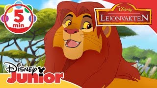 Lejonvakten  Musik Låtar från säsong 2 🎶  Disney Junior Sverige [upl. by Jamel]