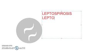 Microbiology 370 a LeptoSpirosis Weils Disease leptospira bacteria Media EMJH interrogans rat urine [upl. by Srednas177]