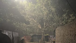 Kartik purnima Vrindavan ki parikrama ka anand Prem Saheli is live premsaheli [upl. by Rola174]