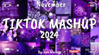 Tiktok Mashup November 💜2024💜 Not Clean [upl. by Fernanda]