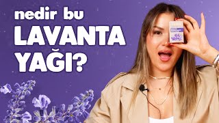 Lavanta Çeşitleri ve Lavanta Yağının Faydaları [upl. by Onairam]