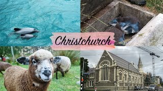 NEUSEELAND VLOG 13  Traumhaftes Ende meiner Traumreise [upl. by Haraj]