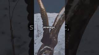 Pterodactyl versus Eagle who will win [upl. by Plafker9]