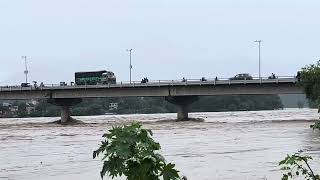 Narayani bridge  Chitwan flood Alert 20810612  Heavy rainfall flood  Narayani River [upl. by Marya]