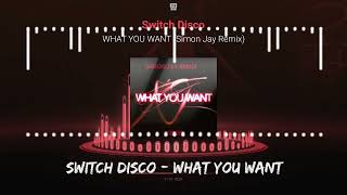 Switch Disco  WHAT YOU WANT [upl. by Vikky123]