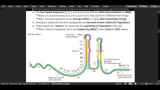 6 Regulation of gene expression in Bacteria  Part 2 [upl. by Natasha]