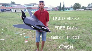 make rc plane F117 STEALTH DEPRON Build Video [upl. by Nuahsyar526]