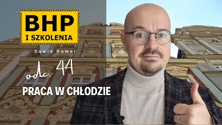 PRACA W CHŁODZIE  44 [upl. by Airad625]