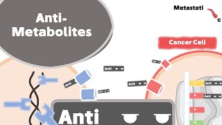 Antimetabolites Mechanism of Action [upl. by Beniamino]