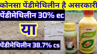 pendimethalin 387 cs vs pendimethalin 30 ec पेंडीमेथिलीन का उपयोग कैसे करे [upl. by Service]