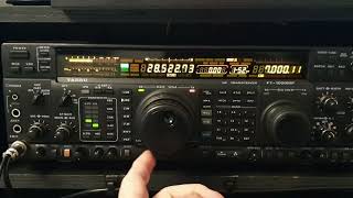 YAESU FT1000MP RX 10m usb [upl. by Scrogan620]