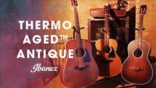 Ibanez Thermo Aged™ Antique Acoustic Guitar  AVD11 AVC11 AVN11 [upl. by Rennoc]