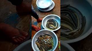 Best fish Market vlog vlog reels short fishinglif shortfeed viralvideo shortvideo comedy [upl. by Eural427]