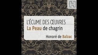 La Peau de chagrin 33 – À l’essentiel  le réalisme et le naturalisme [upl. by Emiaj786]