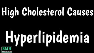 Causes Of High Cholesterol  Hyperlipidemia  Symptoms Of High Cholesterol [upl. by Lertnek]