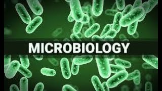 introduction to microbiology lecture 1 urdu hindi [upl. by Chandos]