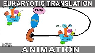 DNA Transcription Made EASY  Part 1 Initiation 🐣 [upl. by Schulz]