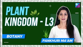 Phaeophyceae  Plant Kingdom Class 11 Biology Concept Explained  Class 11 Botany  NEET 2024 Exam [upl. by Sherrer585]