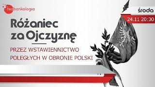 Różaniec za Ojczyznę przez wstawiennictwo poległych w obronie Polski 2411 Środa [upl. by Cilka]