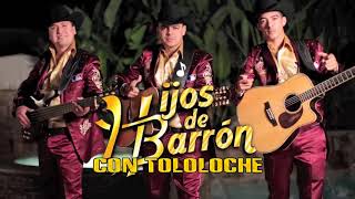 Los Hijos de Barron Corridos Con Tololoche Puros Chingones [upl. by Eelame]