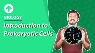 Introduction to Prokaryotic Cells  Hindi  Biology [upl. by Bridges140]