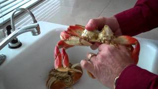 How to clean a crab [upl. by Sauer]