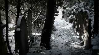 Le jardin du silence Sous la neige Cimetière du Dieweg [upl. by Abbottson653]