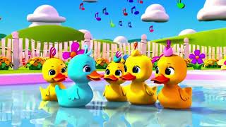 5 Little Ducks song  Newborn Baby Songs amp Nursery Rhymes CoComelon cocomelon chuchutv [upl. by Ynos]