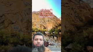 Quran madina munawara rogan balsan tree Pakistan comedy viral short [upl. by Athal]