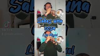 Sabes una cosa  Luis Miguel luismiguel mexico amor trumpet music colombia [upl. by Josler]