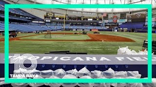 Rays Opening Day Preview What can fans expect this year [upl. by Alyled]