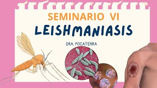 Seminario leishmaniasis  Dra Pocaterra EJMV UCV 2024 [upl. by Esorlatsyrc812]