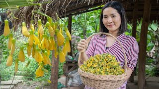 Picked Sesbania Flower For Food  Making Sesbania Flower Pickle amp Cooking Khmer Noodle Recipe [upl. by Ahsenauq499]