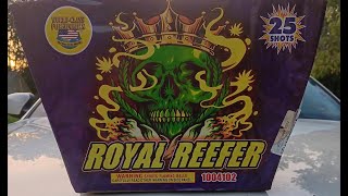 ROYAL REEFER BY WORLD CLASS FIREWORKS 25 SHOT 500 GRAM [upl. by Bel]