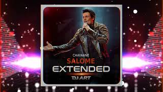 Chayanne  Salome EXTENDED  DJ ART [upl. by Adnir]