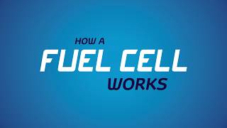 Toyota Mirai  How a Fuel Cell works [upl. by Mallis885]