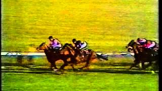 1979 Prix de lArc de Triomphe [upl. by Fabrin]