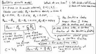 Developing a bacteria growth model from experimental data [upl. by Anoved]