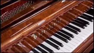 Bosendorfer 6 11quot Grand Piano Vintage Restored 1898 Model  Graves Piano  Columbus OH [upl. by Revned]