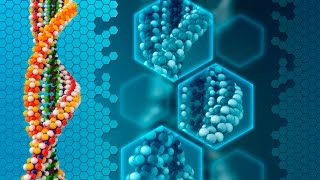 DNA An overview [upl. by Odrareve]