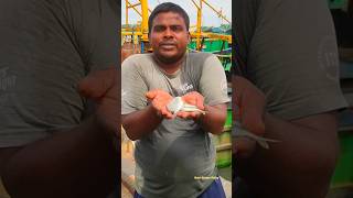 Catching Trevally fish amp Silver Biddy fish in Net fishing smallbusiness Reels [upl. by Hanus]