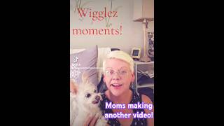 Wigglez helps 😆 🤣 mascot morkie rescue pets dogmother cute doglife [upl. by Assenav]